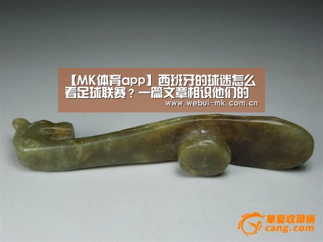 【MK体育app】西班牙的球迷怎么看足球联赛?一篇文章相识他们的看球方式(图3) MK体育下载