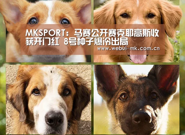 MK体育官方网站