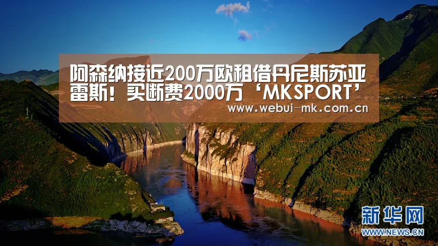 阿森纳接近200万欧租借丹尼斯苏亚雷斯!买断费2000万‘MKSPORT’(图4) MK体育