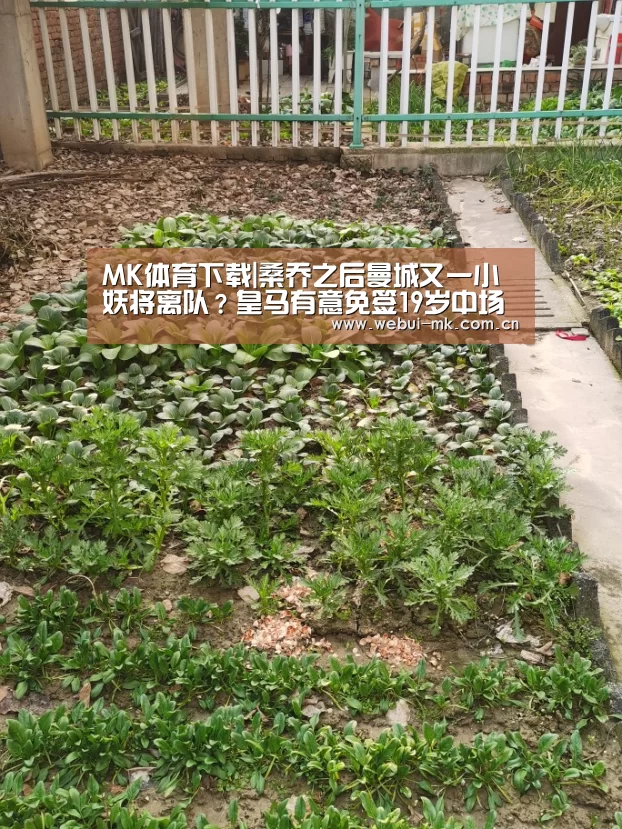 MK体育app
